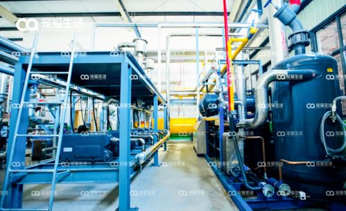 愛立方 從品牌到自建工廠，以D2級(jí)壓力容器專注打造凍干好物